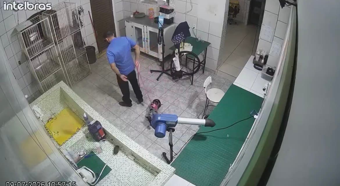 Pet shop deixa cadela fugir em Senador Canedo e esconde o sumiço por 6 horas