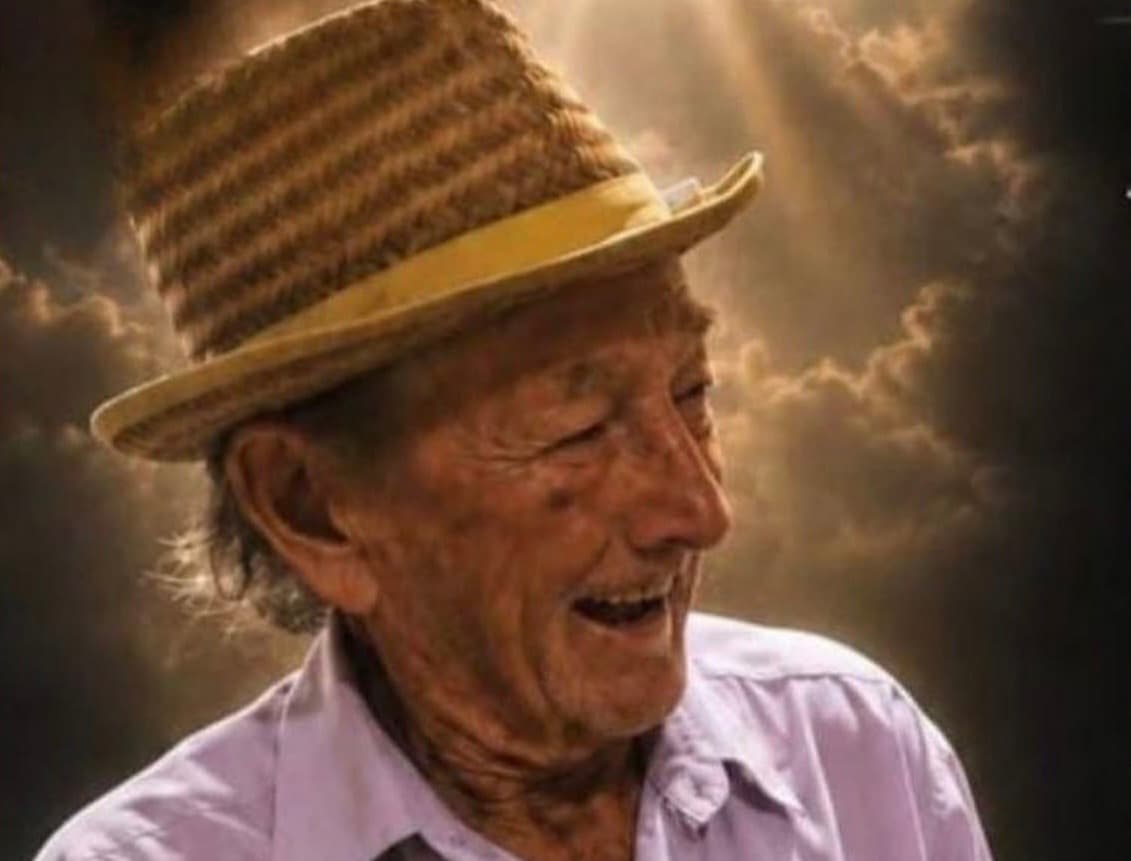 Idoso de 84 anos morre após sofrer mais de 2 mil picadas de abelhas