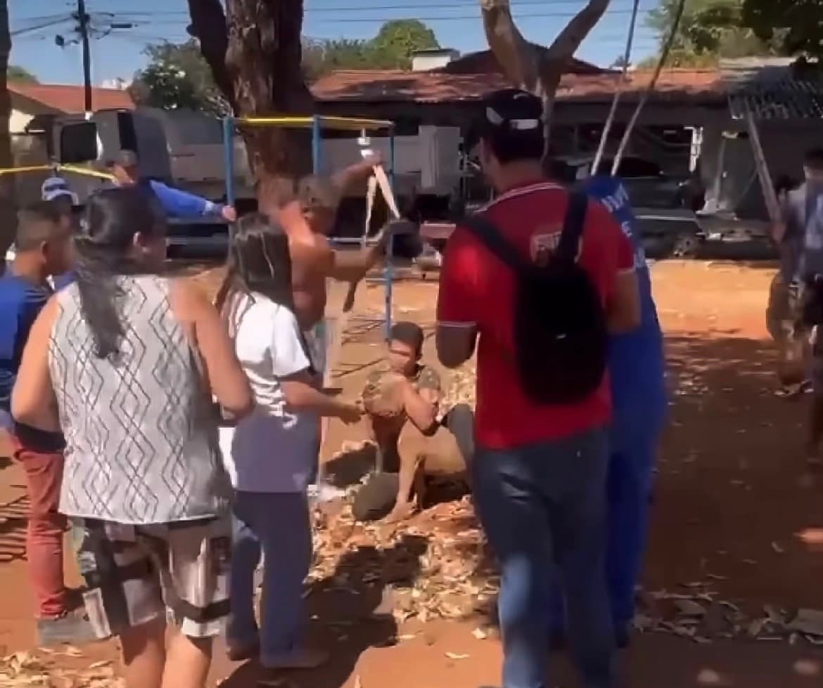 Pit bull solto em praça ataca pessoas e causa pânico no Bairro Goiá