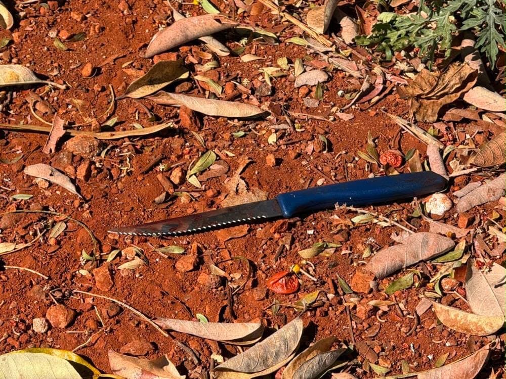 Homem mata dono de casa, ateia fogo em imóvel e fere o próprio braço para enganar a polícia