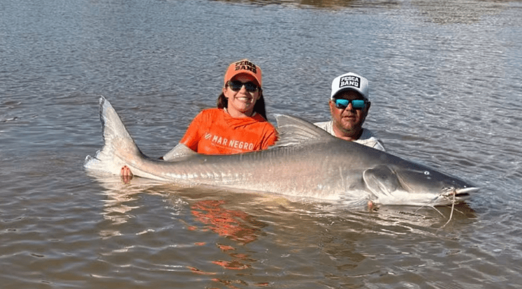 Família pesca piraíba gigante de 2,1 metros no Rio Araguaia e comemora recorde
