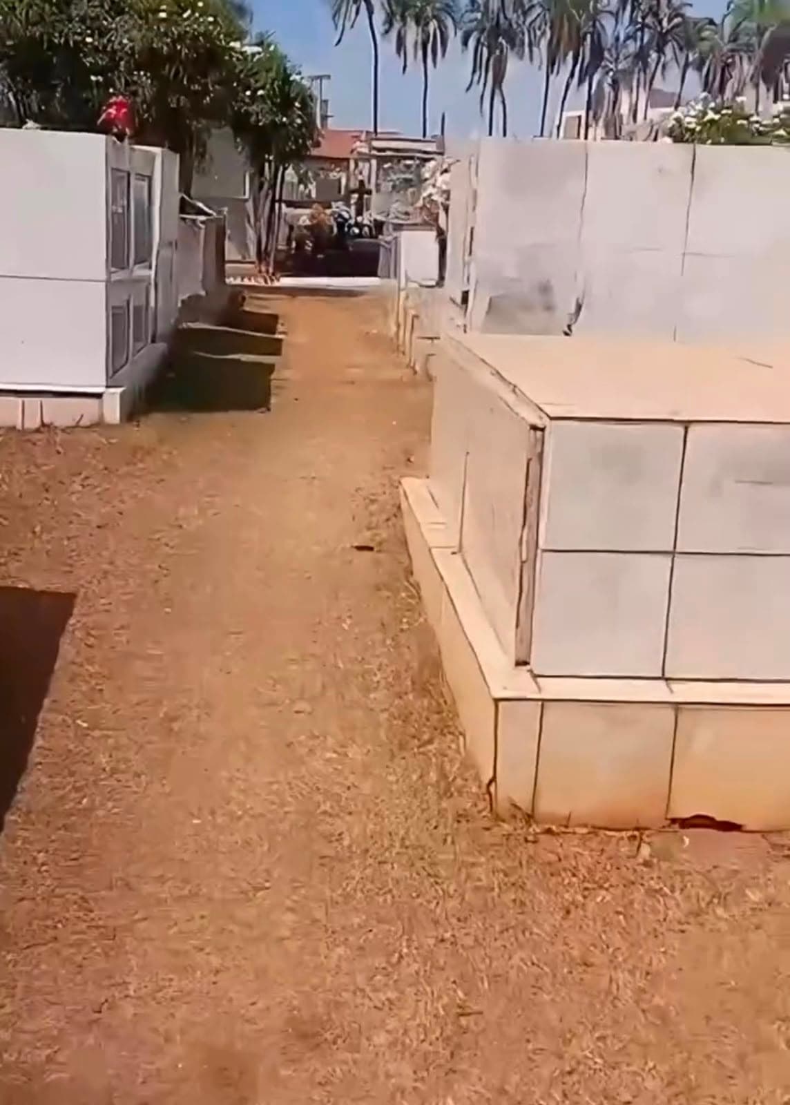 Homem é flagrado tirando cochilo dentro de túmulo em cemitério de Trindade