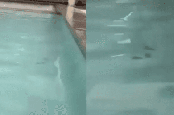 Piscina é interditada às pressas após fezes serem encontradas em parque aquático de Caldas Novas