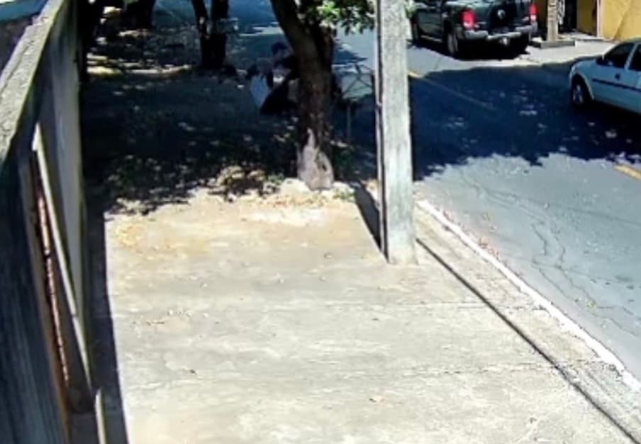 Vítima filma ofensas, é atacada por vizinha com cachorro e fica ferida; suspeita presa