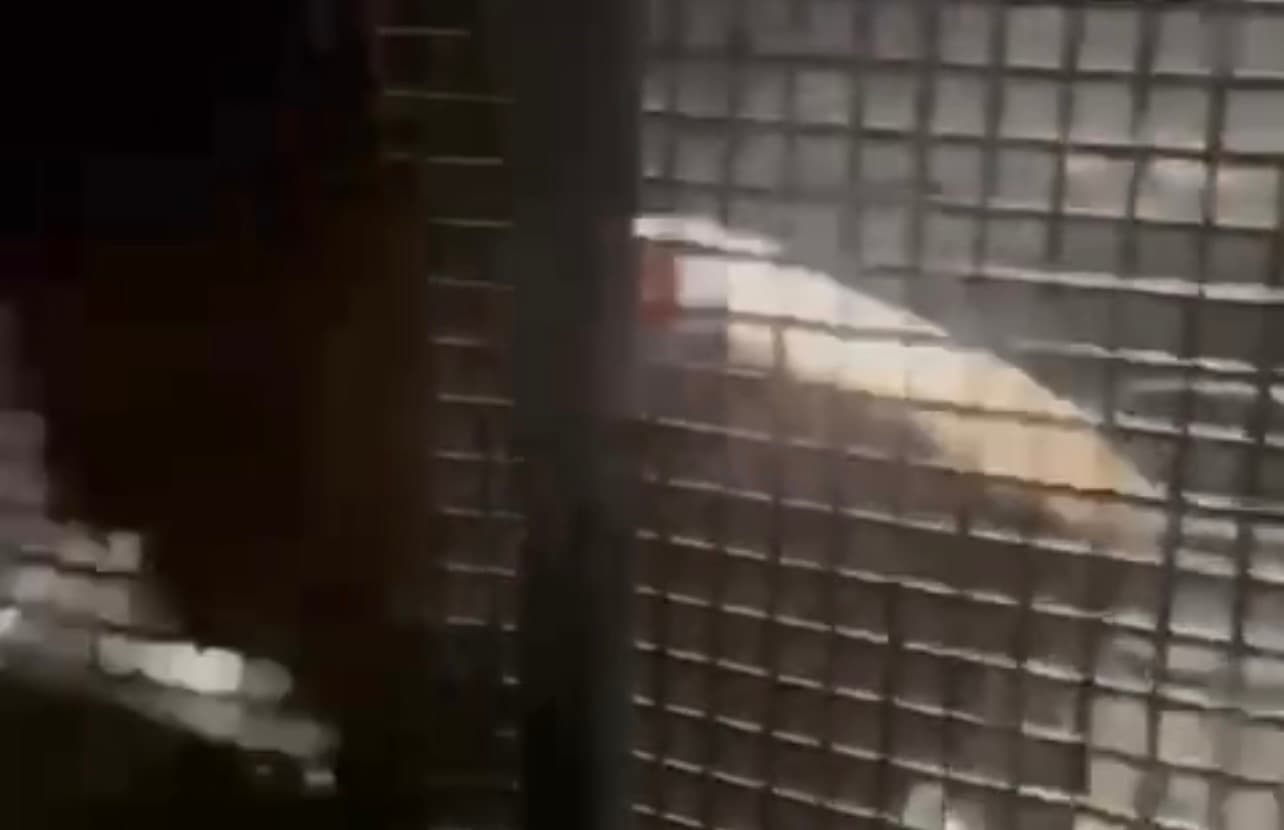 Homem bate cabeça em grade de viatura após ser preso por agredir mulher