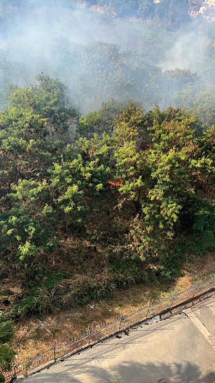Incêndio em mata se alastra desde a madrugada e ameaça prédios no Jardim América