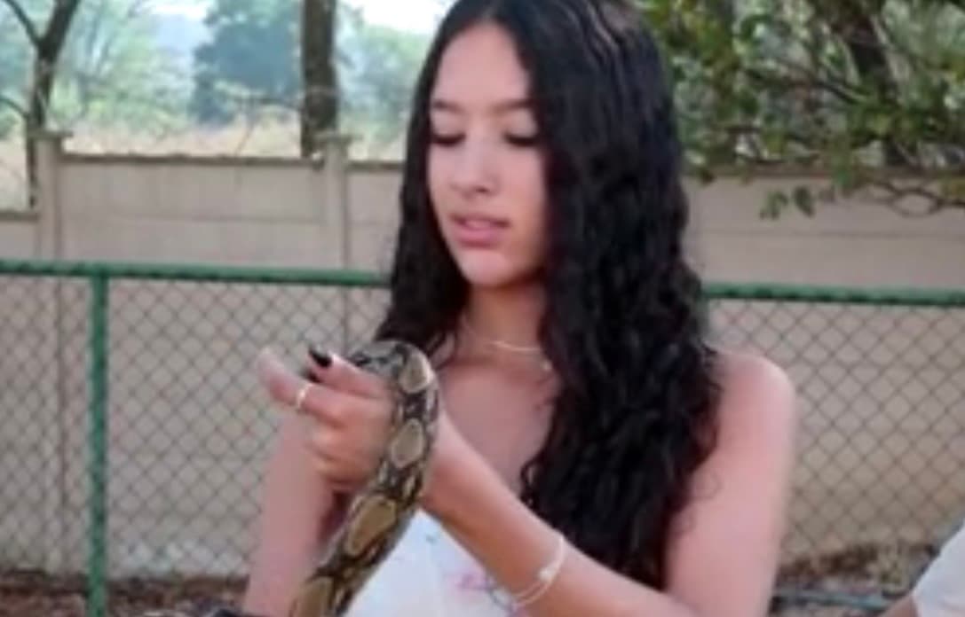 Donas de jiboia que viralizou em vídeo dentro de carro falam sobre o pet exótico