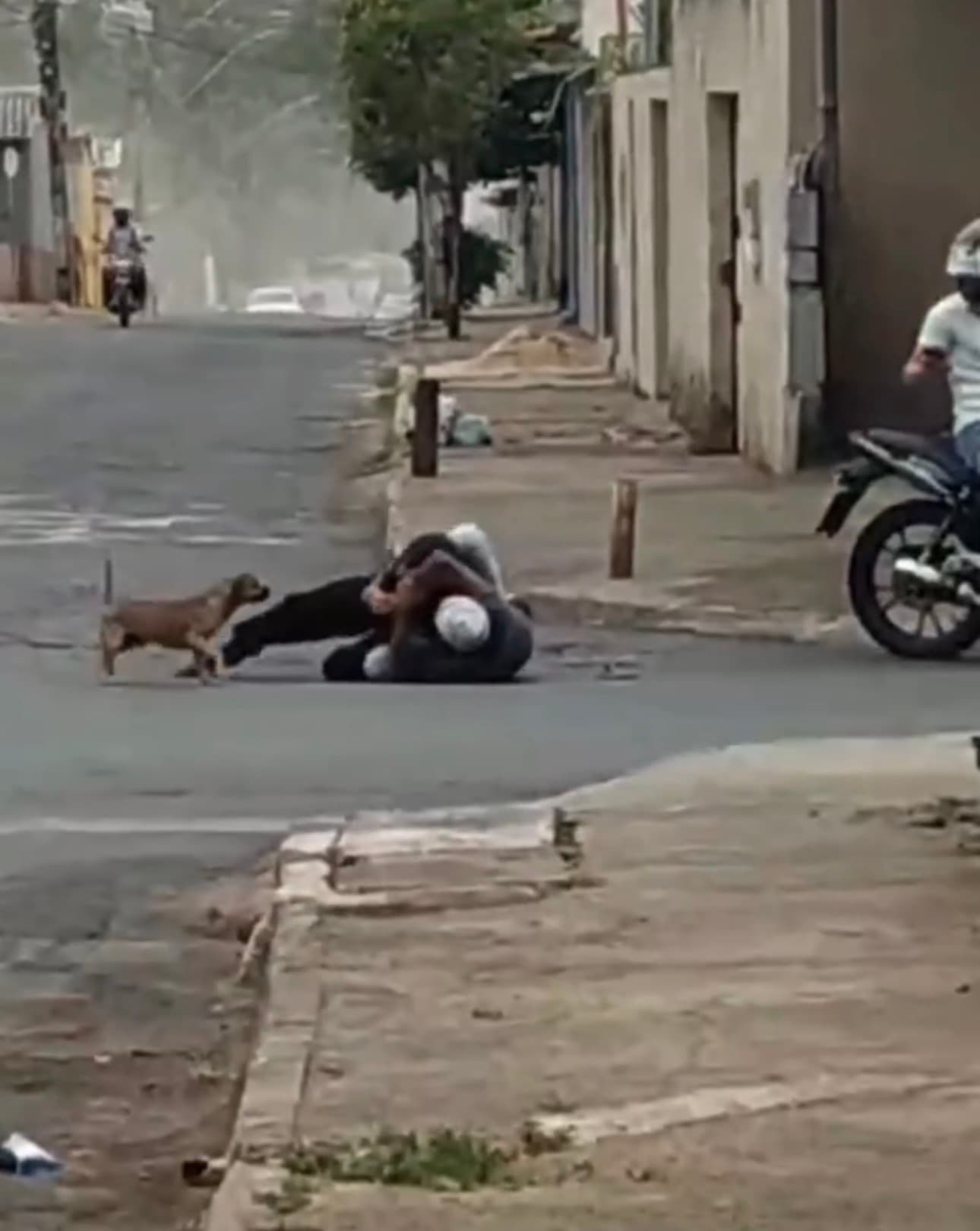 Briga no meio da rua trava trânsito no Finsocial e vira-lata caramelo entra para separar