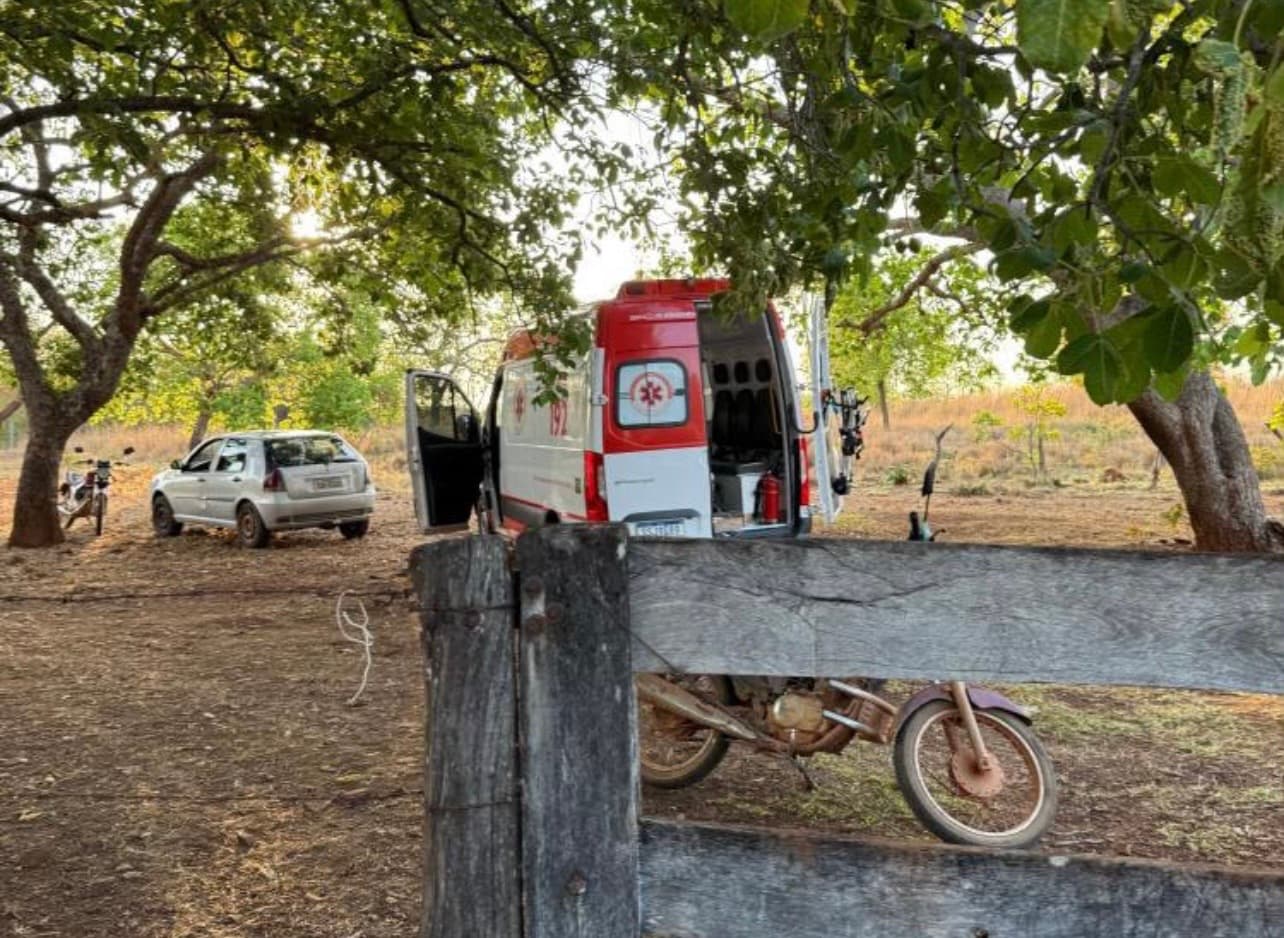Homem morre após reação alérgica a picada de abelha em fazenda