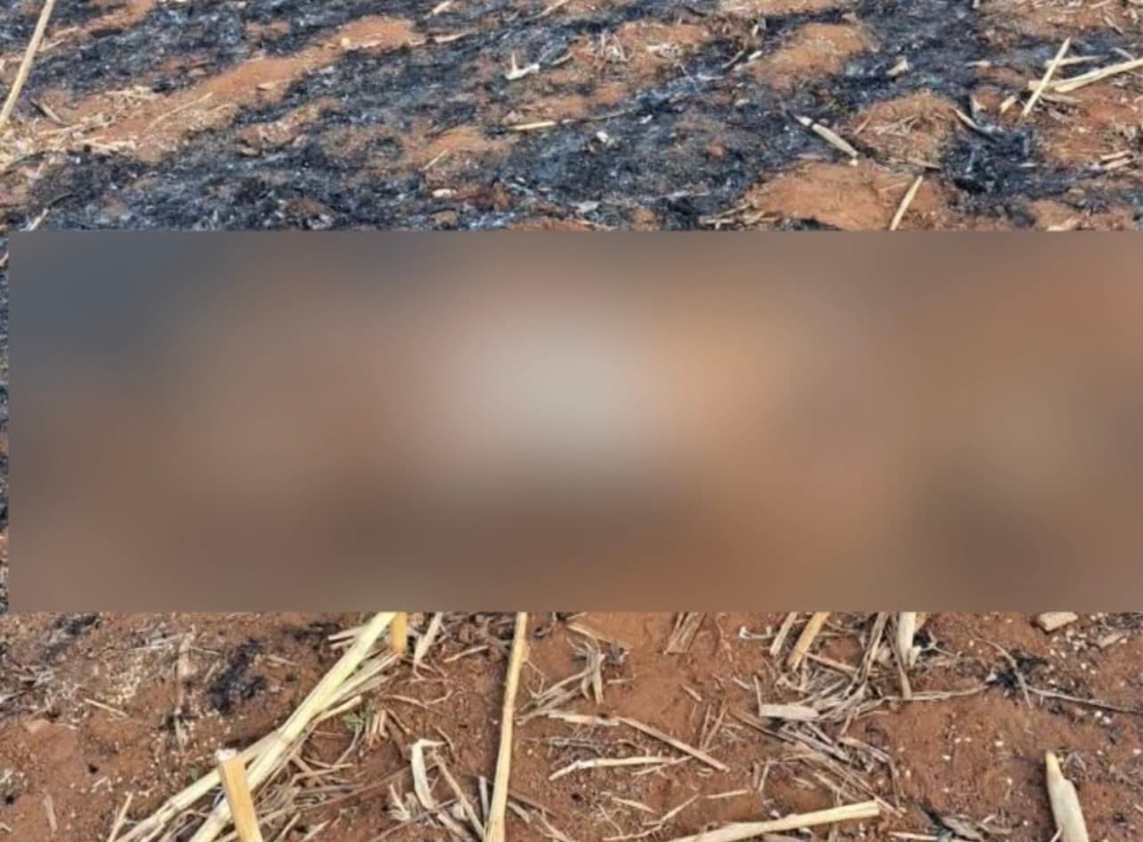 Homem morre ao tentar conter incêndio que provocou para limpar fazenda