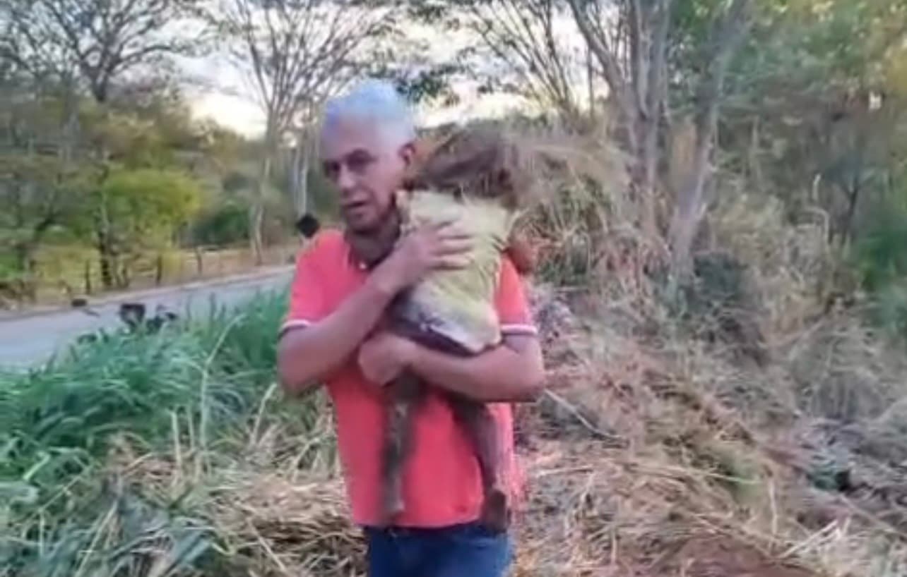 Caminhão sem freio atinge carro, deixa três mortos e criança sobrevive