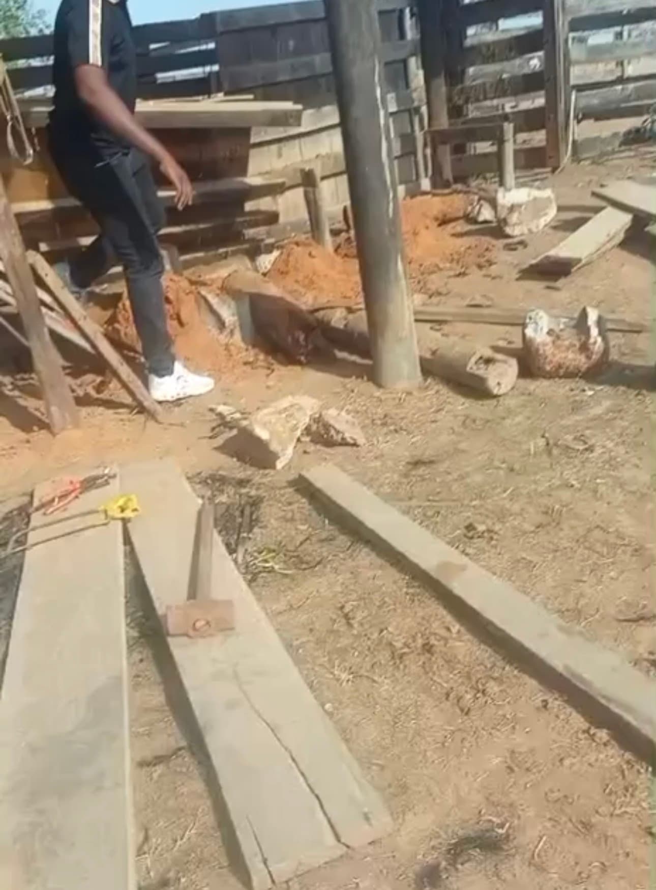 Homem morre após ser encontrado de cabeça para baixo em buraco de curral