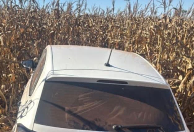 Motorista foge de abordagem e abandona carro com 86 kg de maconha em milharal