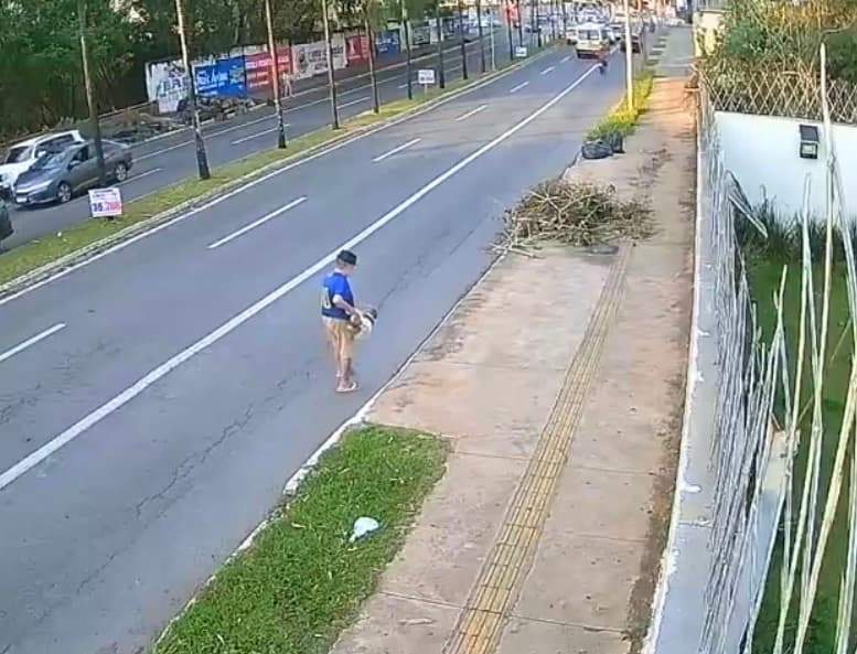 Homem é detido após arremessar cão dentro de bueiro; animal foi resgatado