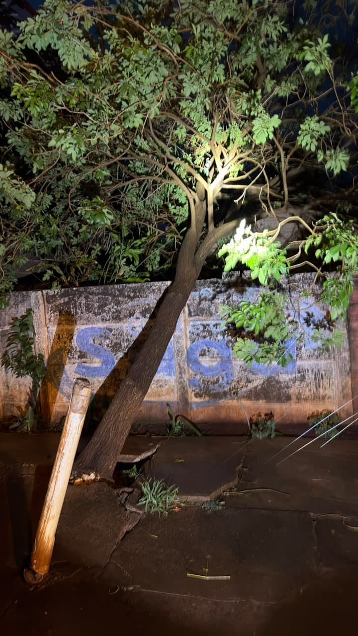 Temporal em Jataí derruba árvore sobre casa e deixa motorista preso sob fiação elétrica