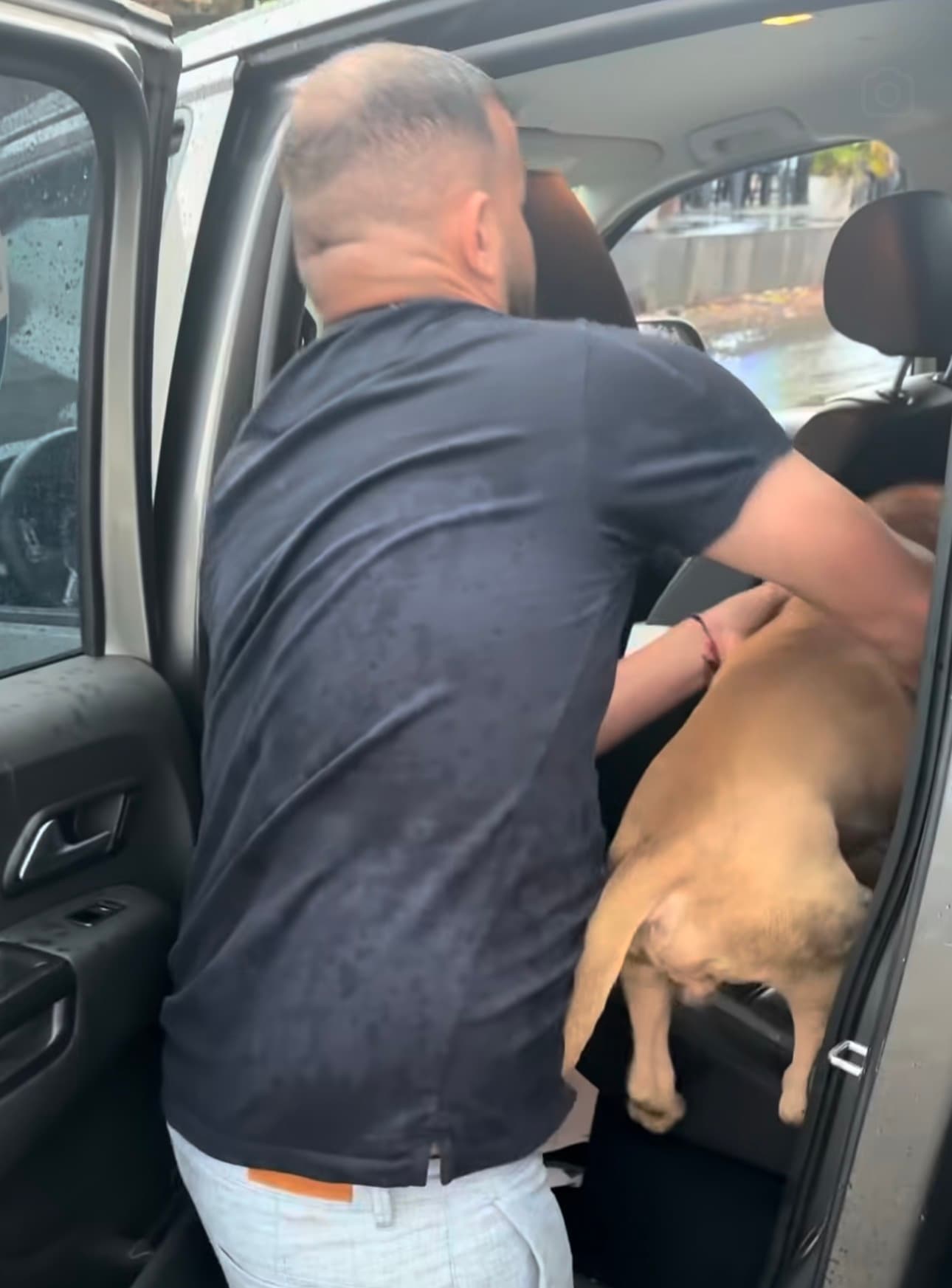 Família nega abandono de cachorro e registra ocorrência contra influenciador após invasão com caminhonete