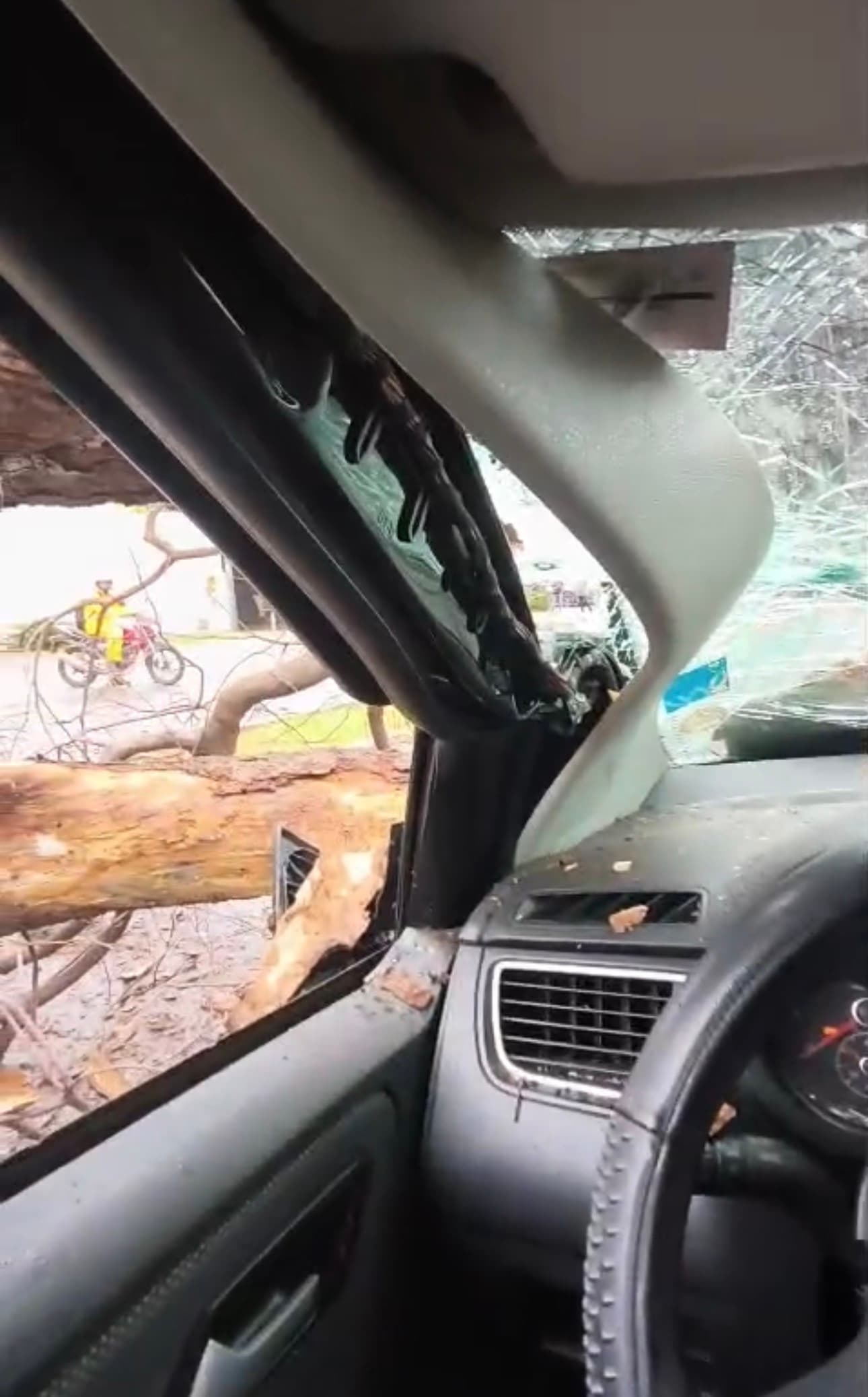 Árvore despenca sobre carro em movimento e deixa duas pessoas feridas no Setor Universitário